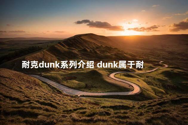 耐克dunk系列介绍 dunk属于耐克吗